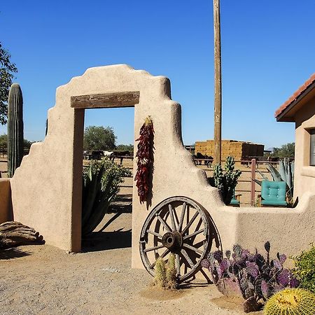 White Stallion Ranch Bed & Breakfast Tucson Exterior photo