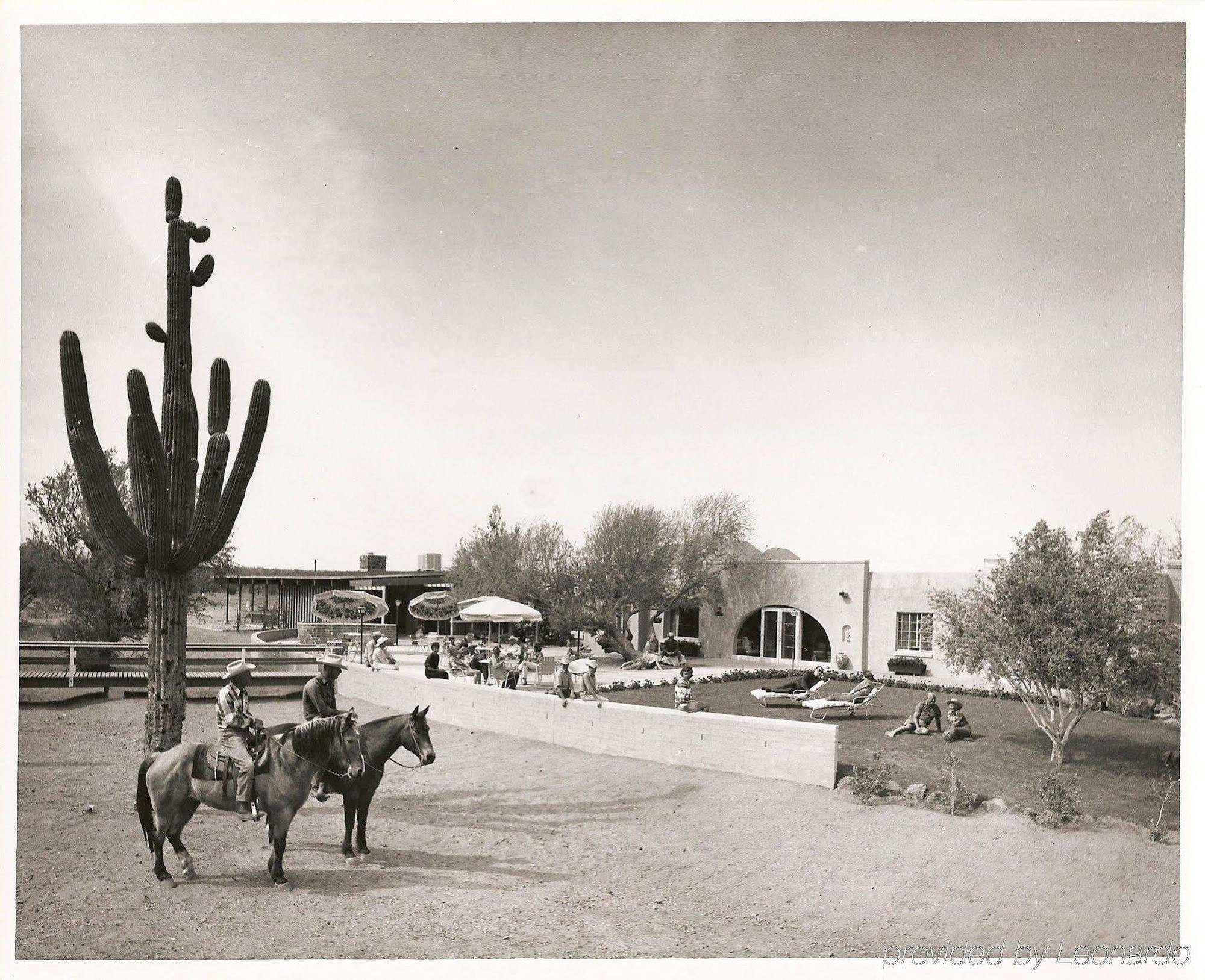 White Stallion Ranch Bed & Breakfast Tucson Exterior photo